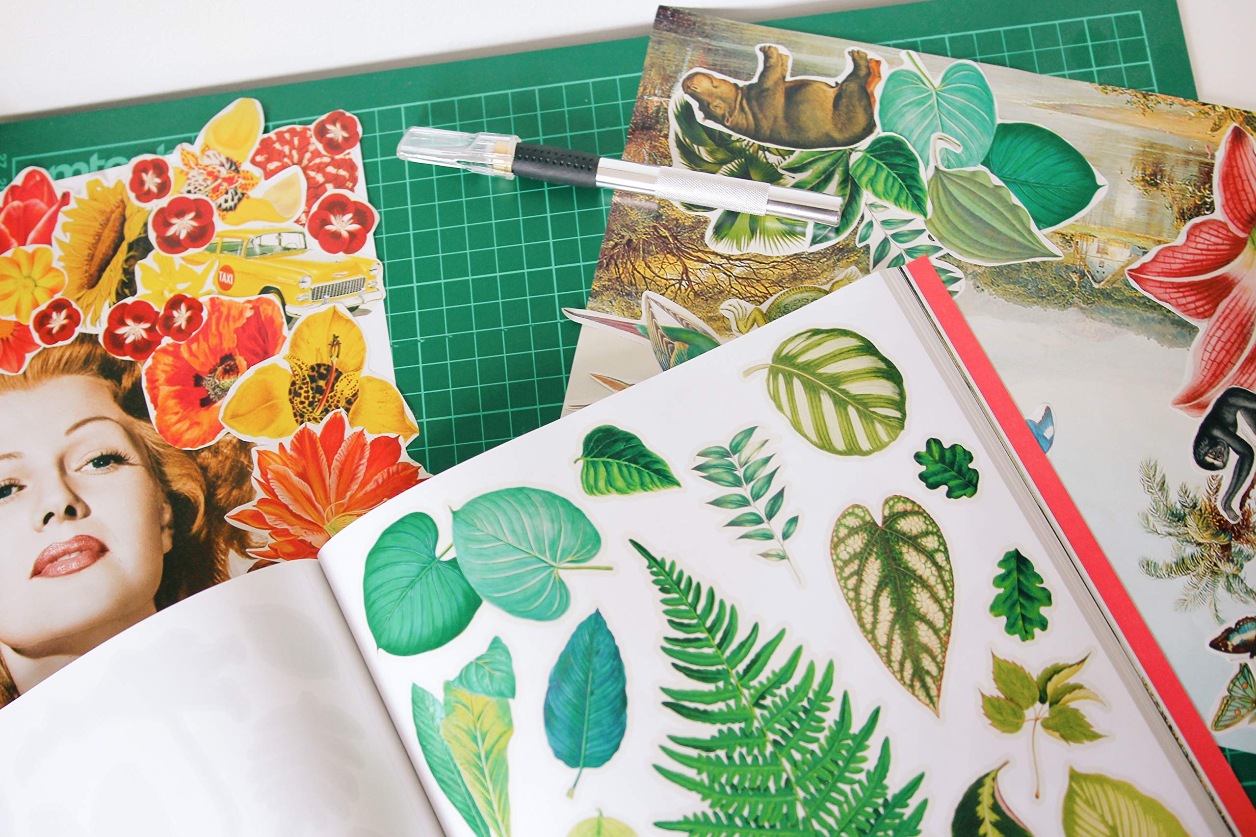 Extraordinary Things to Cut Out and Collage Book